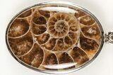 Fossil Ammonite Pendant - Million Years Old #205792-1